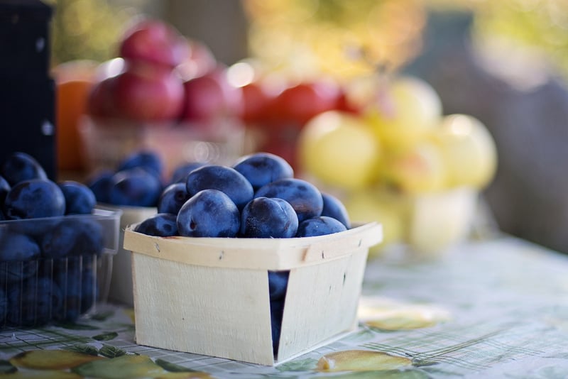 Farm-to-Table Experience